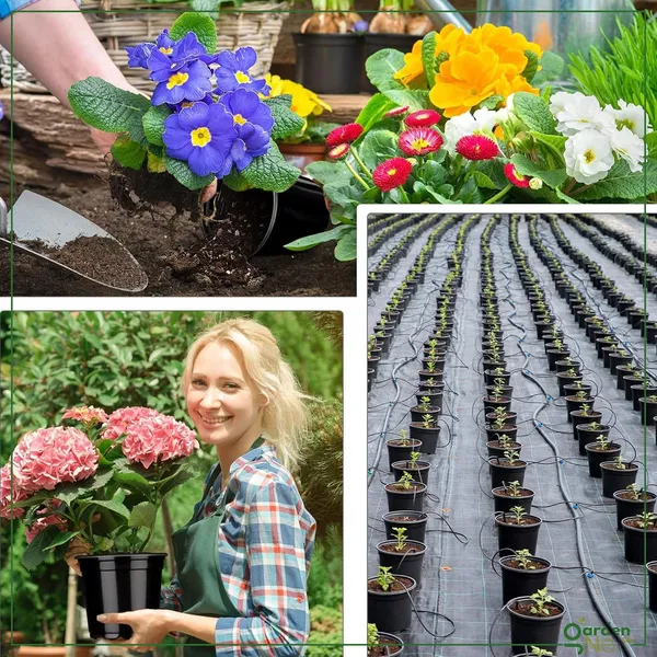 Plastic_Flower_Pot_Pack_Of_10
