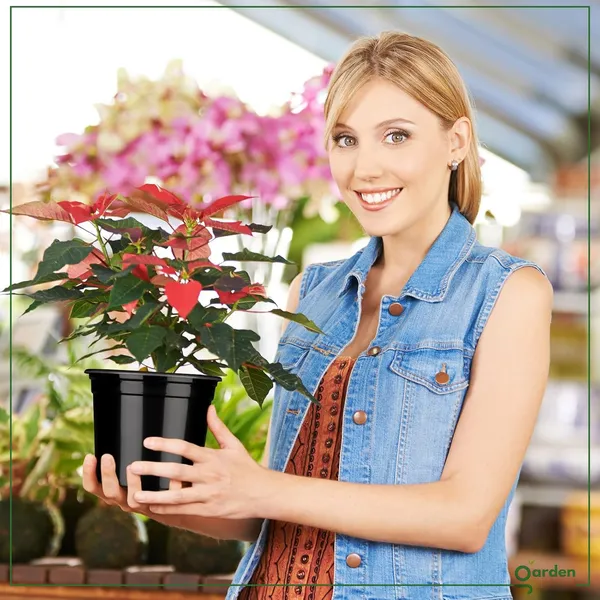 Plastic_Flower_Pot_Pack_Of_10