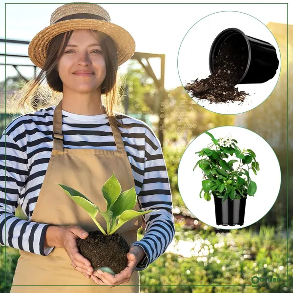 Plastic_Flower_Pot_Pack_Of_10
