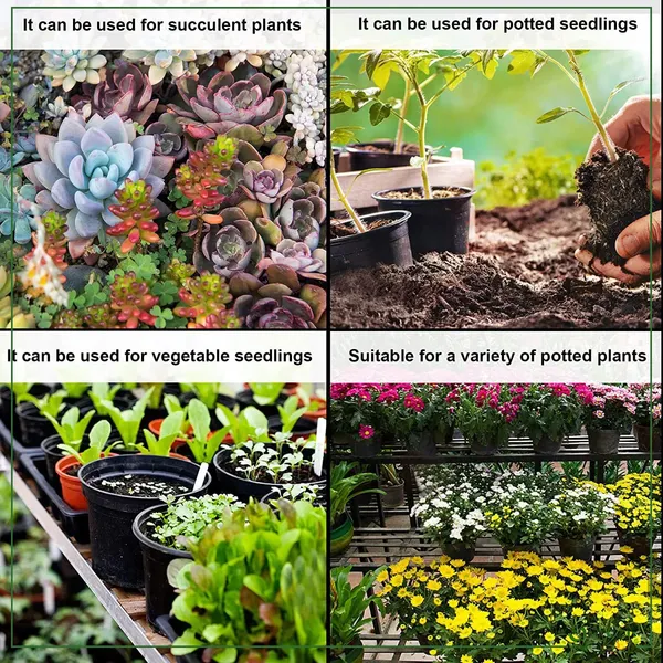 Plastic_Flower_Pot_Pack_Of_10