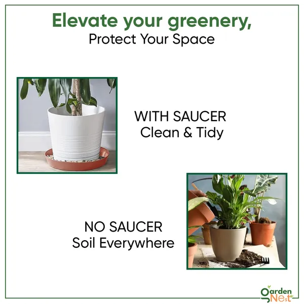 Plant_Saucer_10_Pc