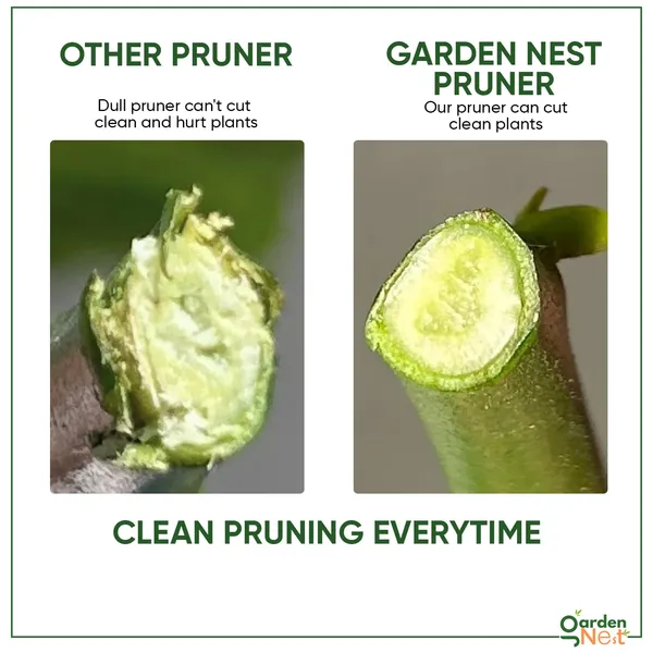 Pruning_Shears_Pack_Of_2