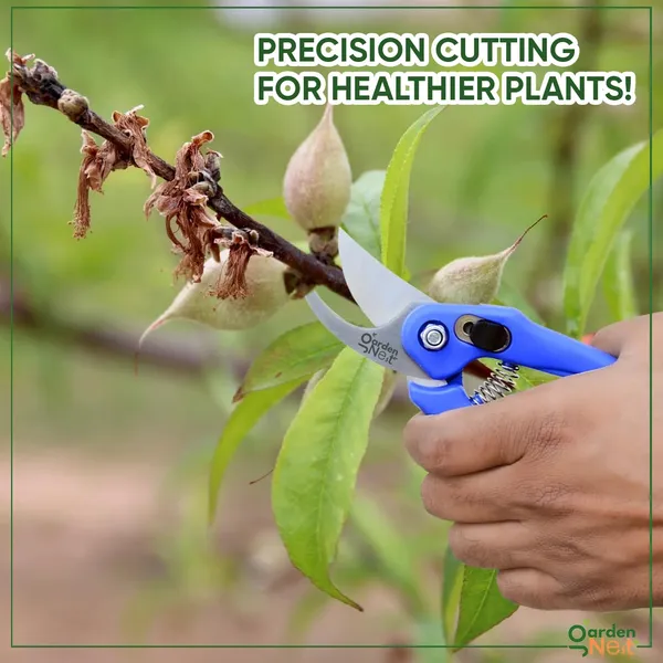 Pruning_Shears_Pack_Of_2