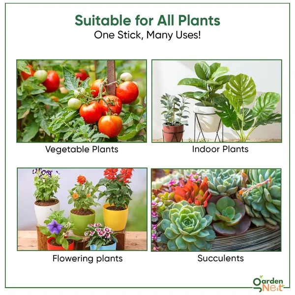 Plant_Root_Growth_Booster_Pack_Of_2