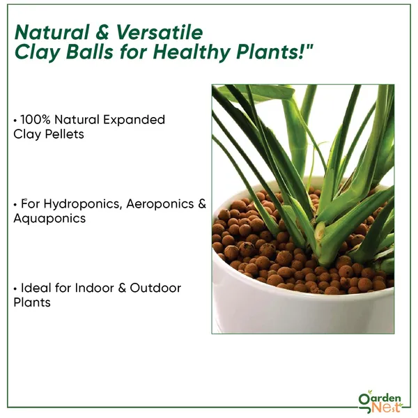 Clay_Balls_For_Plants_Pack_Of_2