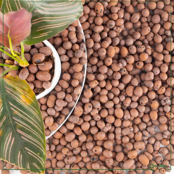 Clay_Balls_For_Plants_Pack_Of_2