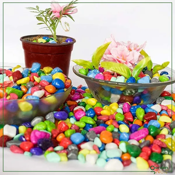Decorative_Pebbles_For_Plants_And_Aquariums