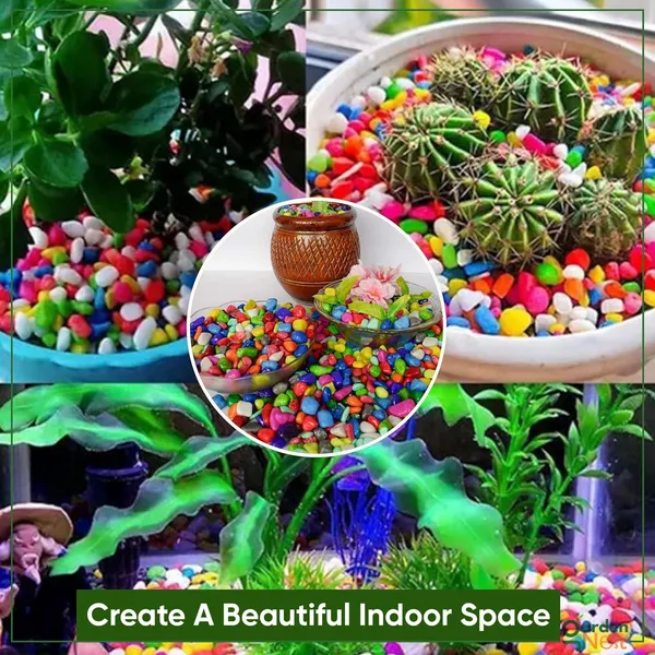Decorative_Pebbles_For_Plants_And_Aquariums