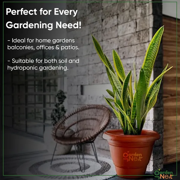 Plastic_Round_Pot_For_Plants_Pack_Of_10