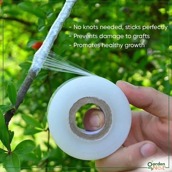 Grafting_Tape_Pack_Of_2