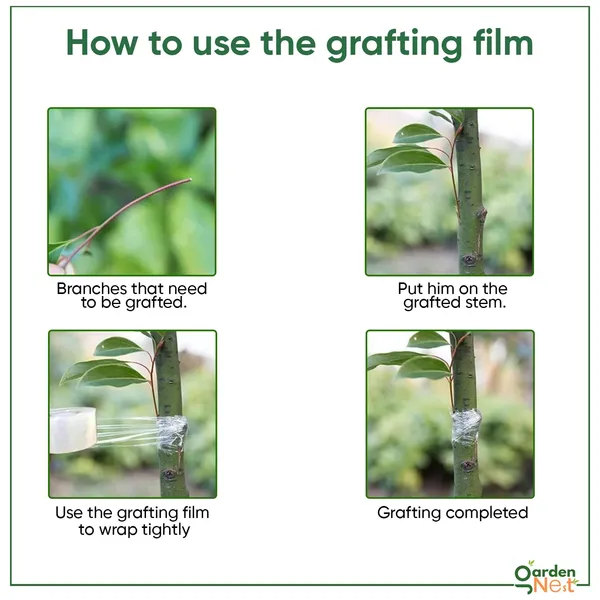 Grafting_Tape_Pack_Of_2