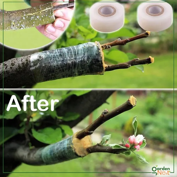 Grafting_Tape_Pack_Of_2