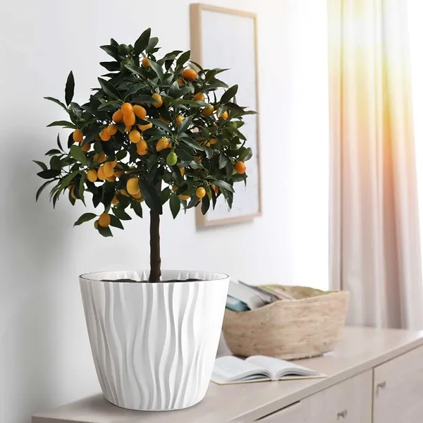 Round_Plastic_Flower_Pot_With_Drainage_Hole_And_Tray_Pack_Of_5