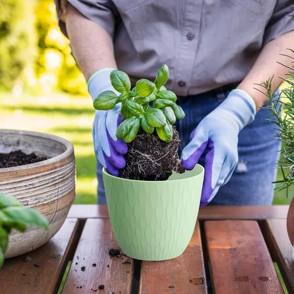 Plastic_Flower_Pot_With_Drainage_Hole_And_Tray_Pack_Of_5