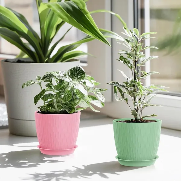 Plastic_Flower_Pot_With_Drainage_Hole_And_Tray_Pack_Of_5