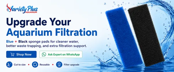 Aquarium_Bio_Sponge_Pad_Pack_Better_Filtration_&_Beneficial_Bacteria_Support_-_Pack_Of_2