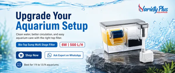 Bio-Top_Sump_Multi_Stage_Filter_For_Aquarium_Water_Clarity_&_Easy_Maintenance_(6W)_Suitable_For_Planted,_Fresh_Water_And_Marine_Aquarium