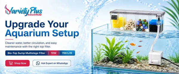 Bio-Top_Sump_Multi_Stage_Filter_For_Aquarium_Water_Clarity_&_Easy_Maintenance_(10W)_Suitable_For_Planted,_Fresh_Water_And_Marine_Aquarium