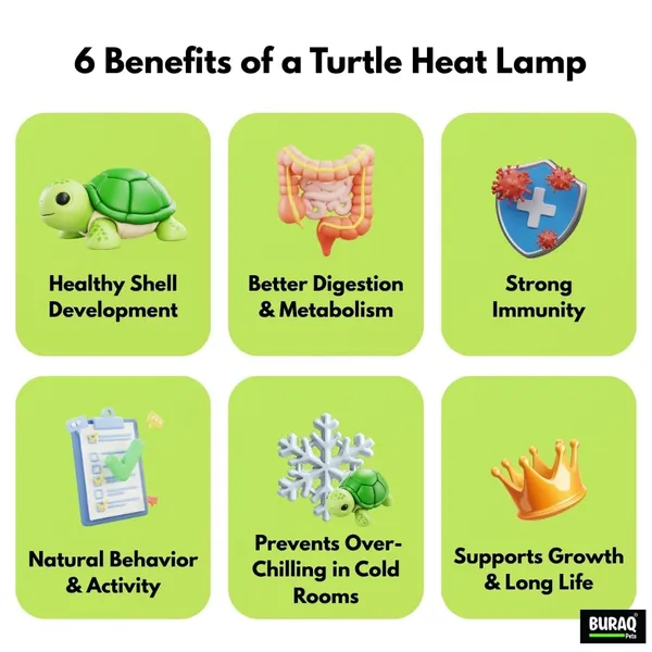Turtle_Uv_Lamp_With_Stand_For_Turtle_Tank_Basking_&_Shell_Health