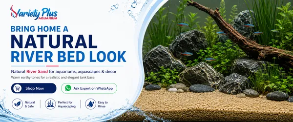 Natural_River_Sand_|_Aquarium_Sand_Substrate_|_Use_In_Havan_Pujan_|_Home_Decor_|_Crafts_(4.900_Kg)