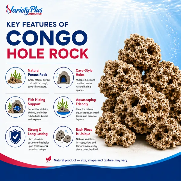 Authentic_Natural_Hole_/_Congo_Rock:_Versatile_Stone_For_For_Cichlid_Tank,_Aquascaping,_Marine_Aquarium_&_Home_Decor,_Garden_Decore_-_(Congo_Rock_4Kg)