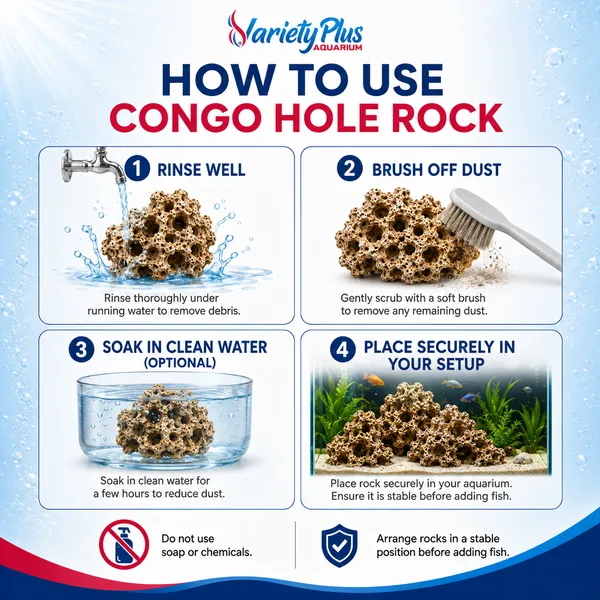 Authentic_Natural_Hole_/_Congo_Rock:_Versatile_Stone_For_For_Cichlid_Tank,_Aquascaping,_Marine_Aquarium_&_Home_Decor,_Garden_Decore_-_(Congo_Rock_4Kg)