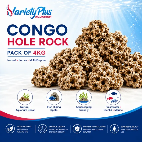 Authentic_Natural_Hole_/_Congo_Rock:_Versatile_Stone_For_For_Cichlid_Tank,_Aquascaping,_Marine_Aquarium_&_Home_Decor,_Garden_Decore_-_(Congo_Rock_4Kg)