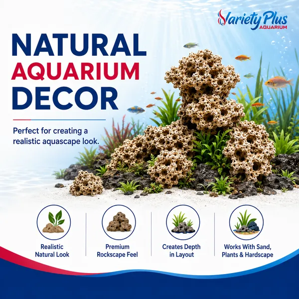 Authentic_Natural_Hole_/_Congo_Rock:_Versatile_Stone_For_For_Cichlid_Tank,_Aquascaping,_Marine_Aquarium_&_Home_Decor,_Garden_Decore_-_(Congo_Rock_4Kg)