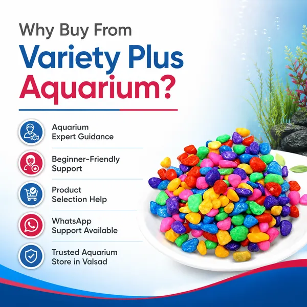 Multi_Colour_Floroson_Aquarium_Chips_For_Lawn,Garden,_Plants,_Freshwater_Aquarium_Decor_(4.900_Kg)