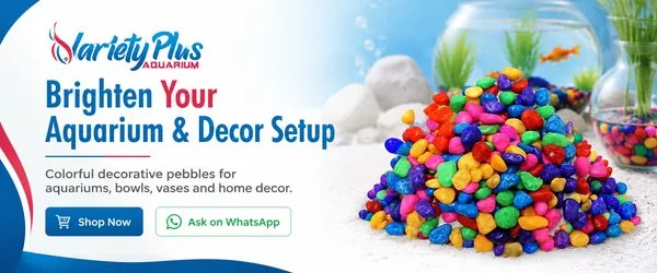 Multi_Colour_Floroson_Aquarium_Chips_For_Lawn,Garden,_Plants,_Freshwater_Aquarium_Decor_(4.900_Kg)