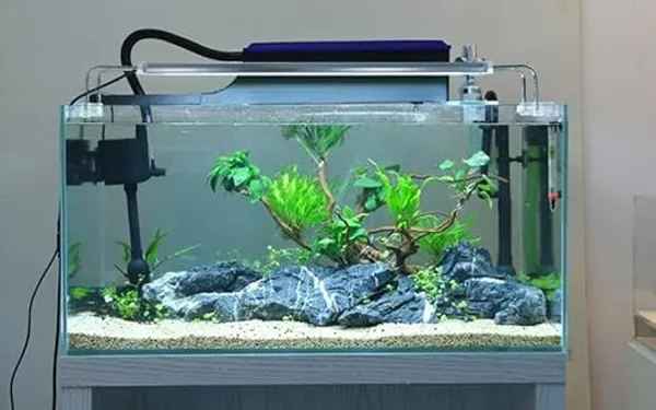 Aquarium_Top_Filter_For_Clear_Water_&_Bio_Filtration_(30W_|_2100_L/H)