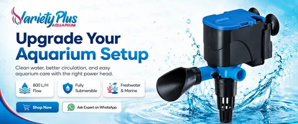 3-In-1_Aquarium_Power_Head_For_Clean_Water_&_Oxygen_Flow_(12W_|_800L/H)