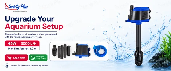 3-In-1_Aquarium_Power_Head_For_Clean_Water_&_Oxygen_Flow_(45W_|_3000L/H)