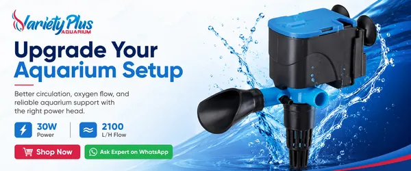 3-In-1_Aquarium_Power_Head_For_Clean_Water_&_Oxygen_Flow_(30W_|_2000L/H)