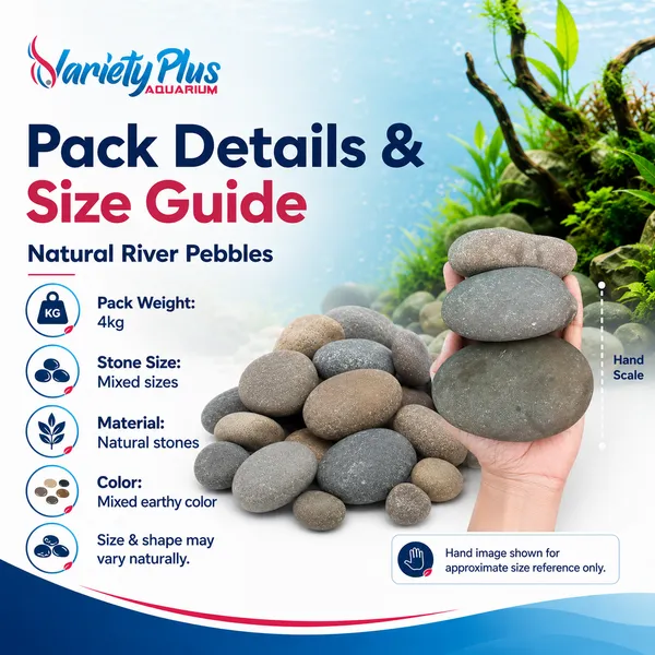 Natural_Aquarium_Pebbles_For_Plantedtank,_Aquascaping_&_Home_Decor