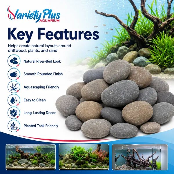 Natural_Aquarium_Pebbles_For_Plantedtank,_Aquascaping_&_Home_Decor