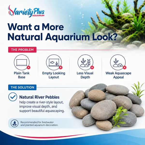 Natural_Aquarium_Pebbles_For_Plantedtank,_Aquascaping_&_Home_Decor