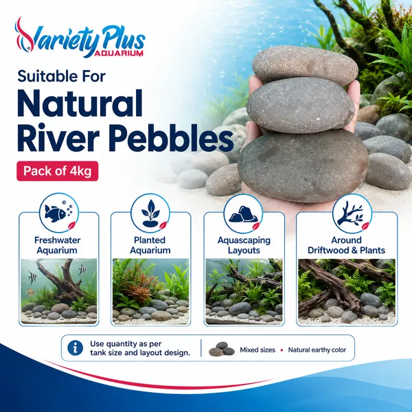 Natural_Aquarium_Pebbles_For_Plantedtank,_Aquascaping_&_Home_Decor
