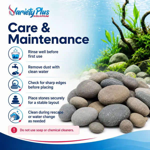 Natural_Aquarium_Pebbles_For_Plantedtank,_Aquascaping_&_Home_Decor
