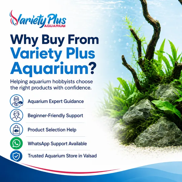 Natural_Aquarium_Pebbles_For_Plantedtank,_Aquascaping_&_Home_Decor