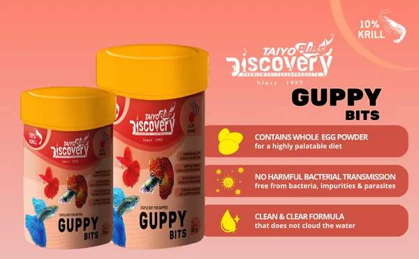 Taiyo_Pluss_Discovery_Guppy_Bits_-_50_G_|_Staple_Diet_For_Guppies_|_Slow_Sinking_Food_For_Guppies,_Mollys,_Barb,_Tetra_And_All_Small_Surface_Eating_Fishes_-_Pack_Of_2