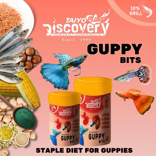 Taiyo_Pluss_Discovery_Guppy_Bits_-_50_G_|_Staple_Diet_For_Guppies_|_Slow_Sinking_Food_For_Guppies,_Mollys,_Barb,_Tetra_And_All_Small_Surface_Eating_Fishes_-_Pack_Of_2