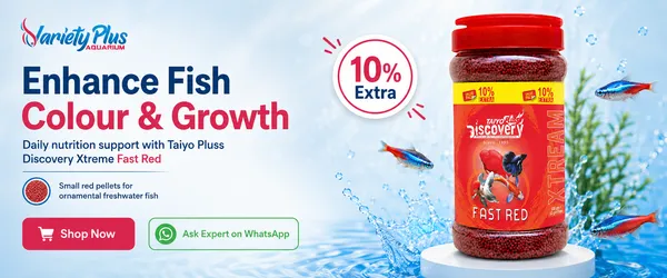 Fast_Red_Fish_Food_For_Tropical_Aquarium_Fish_Taiyo_Pluss_Discovery_Xtream_330G_-_Pack_Of_2