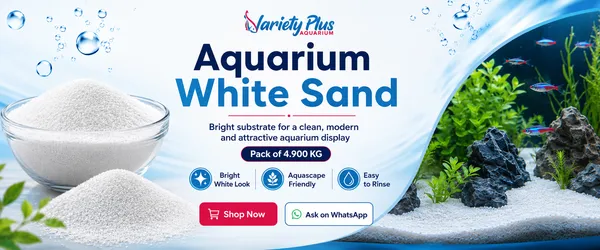 Natural_Aquarium_White_Sand_For_Lawn,Garden,_Plants,_Freshwater_&_Marine_Aquarium_Decor_(4.900_Kg)