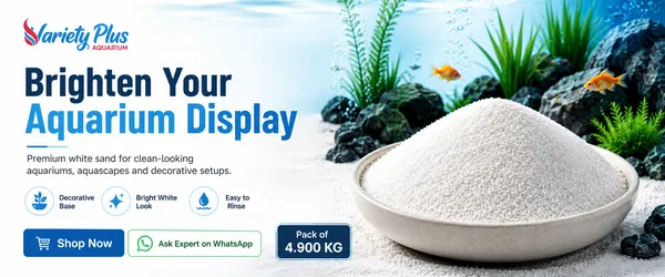 Natural_Aquarium_White_Sand_For_Lawn,Garden,_Plants,_Freshwater_&_Marine_Aquarium_Decor_(4.900_Kg)