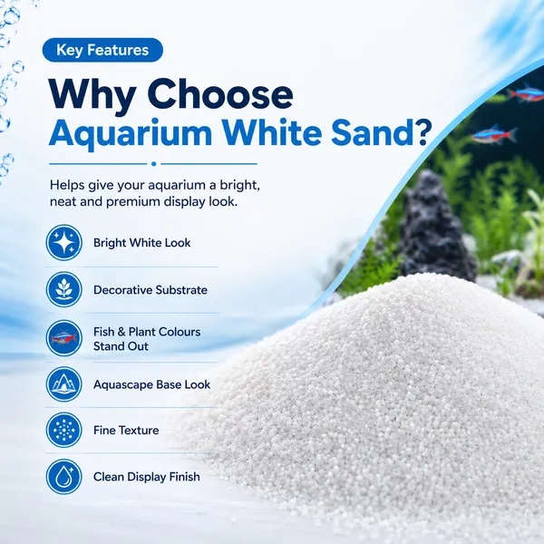 Natural_Aquarium_White_Sand_For_Lawn,Garden,_Plants,_Freshwater_&_Marine_Aquarium_Decor_(4.900_Kg)