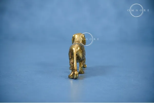 Tiger_with_lines