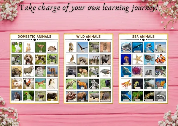Educational_Sticker_Charts_For_Kids