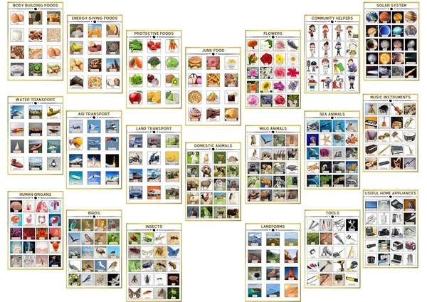 Educational_Sticker_Charts_For_Kids