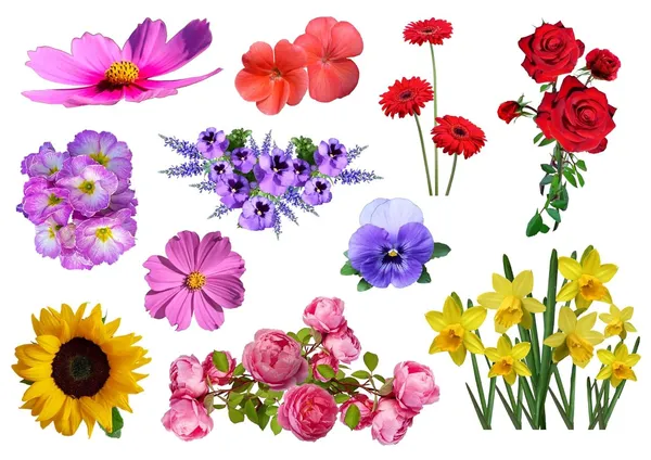 Flower_Theme_Stickers